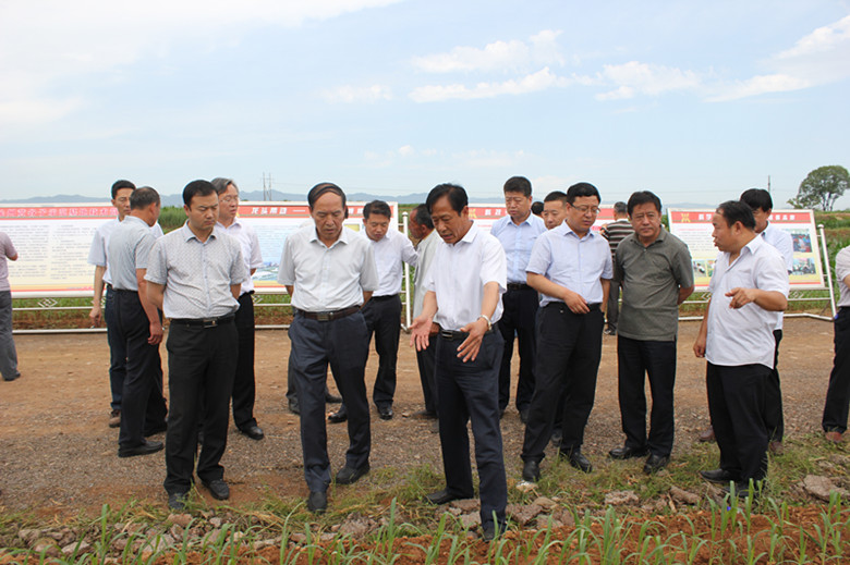 觀摩旱作農業多方面   鼓勵創新發展譜新篇