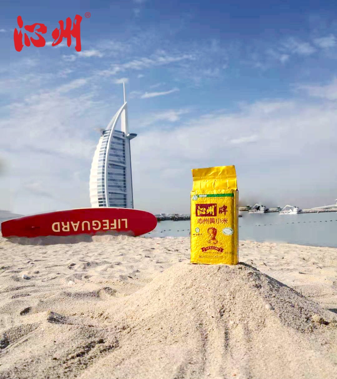 “沁州名片”閃耀中東國際天然有機產品博覽會